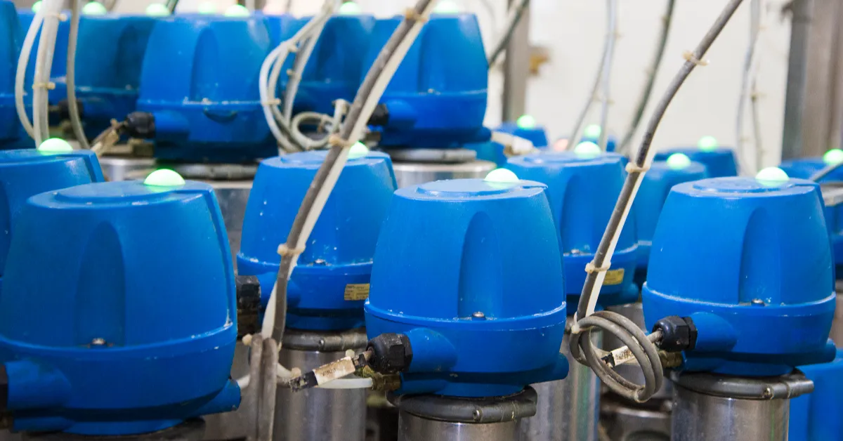 Industrial dosing system processing plant