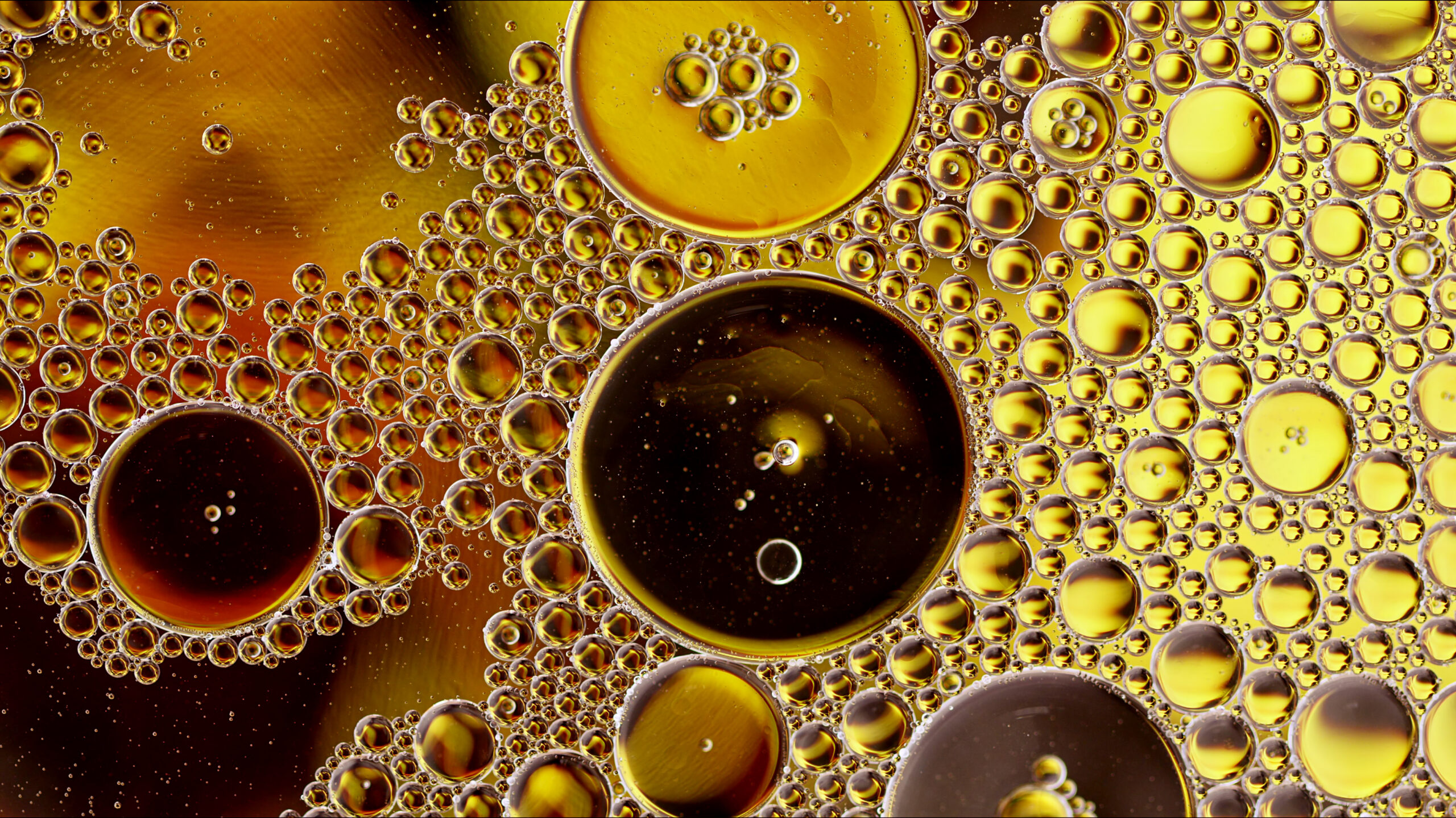 Abstract Colorful Food Oil Drops Bubbles and spheres Flowing on Water Surface