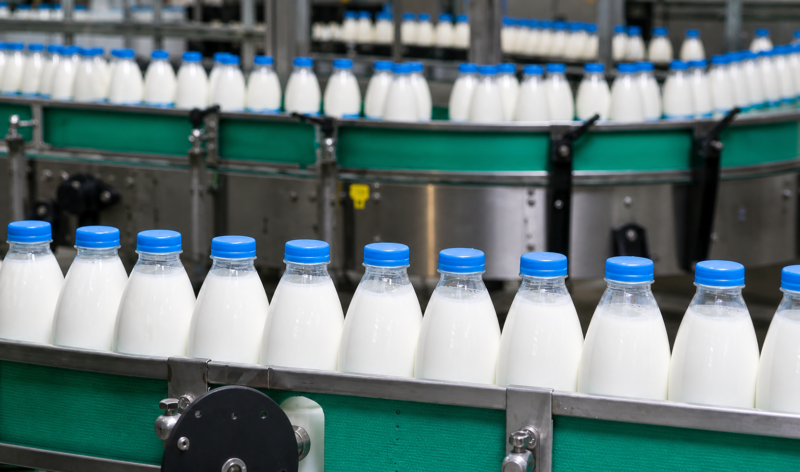 Milk bottles on the conveyer belt food factory