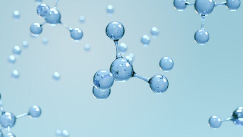 Collagen illustrate