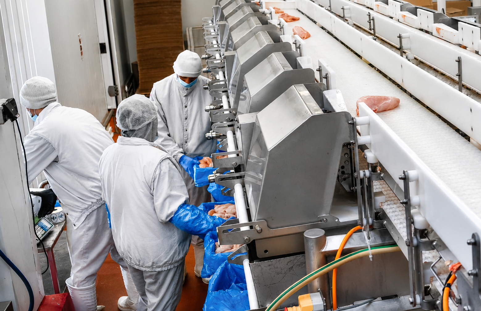 Food factory processing line